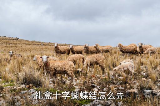 礼品盒上的蝴蝶结怎么打，礼盒的蝴蝶结怎么打