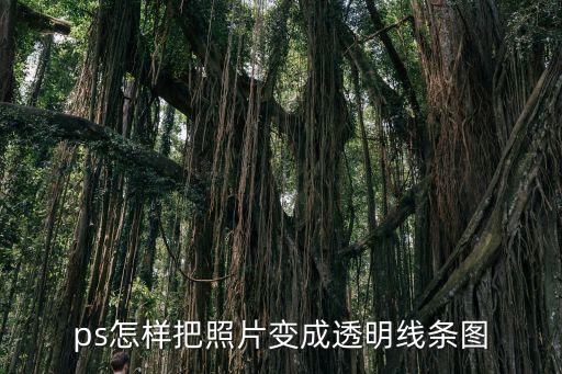 ps怎样把照片变成透明线条图