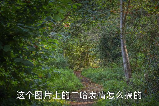 这个图片上的二哈表情怎么搞的