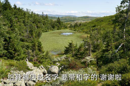 给鞋裤店起名字 要带和字的 谢谢啦