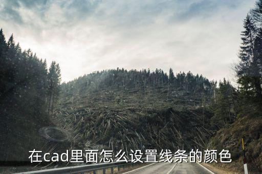 cad线的颜色怎么调，你好如何改变CAD里线条颜色