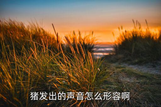 怎么形容猪的叫声，猪的叫声用形容词怎么描述