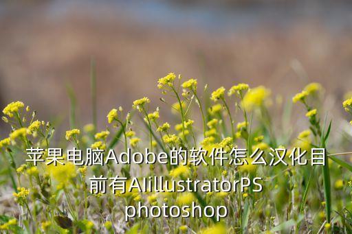 苹果电脑Adobe的软件怎么汉化目前有AIillustratorPSphotoshop