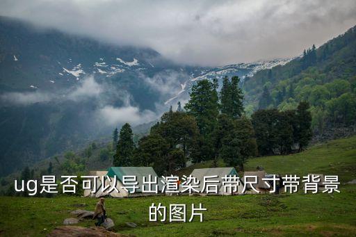 ug是否可以导出渲染后带尺寸带背景的图片