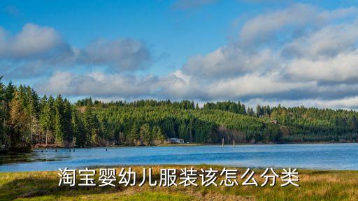 淘宝店童装怎么分类，淘宝童装要怎么分类才简洁清晰