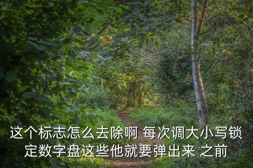 这个标志怎么去除啊 每次调大小写锁定数字盘这些他就要弹出来 之前