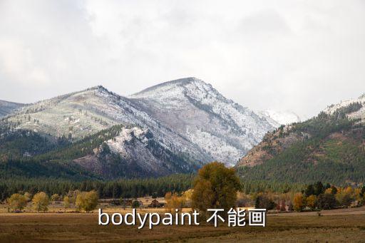 bodypaint 不能画