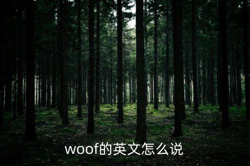 浪声的英文怎么说，波浪的英语拼写