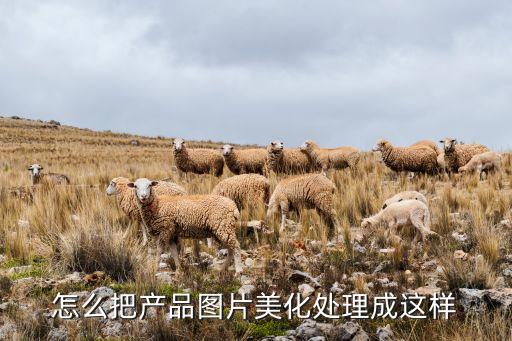 怎么处理产品图片，怎么把产品图片美化处理成这样