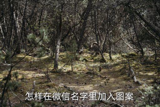 怎样在微信名字里加入图案