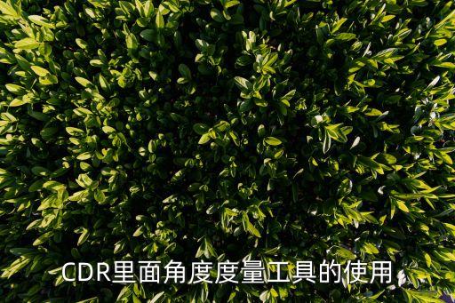 cdr斜角工具怎么用，CDR里面角度度量工具的使用