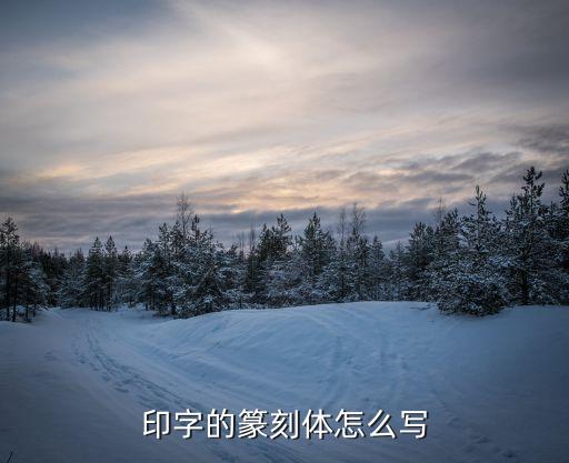 小篆印印字字怎么写，小篆体中印字怎么写