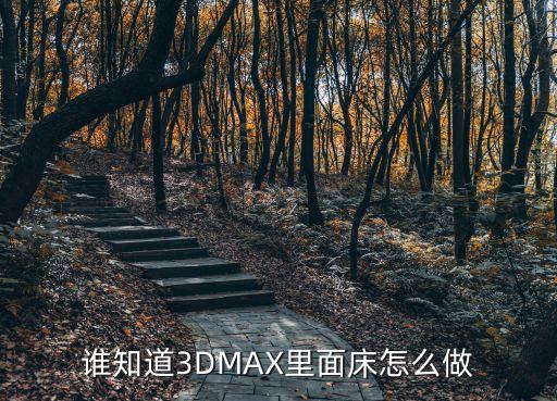 谁知道3DMAX里面床怎么做