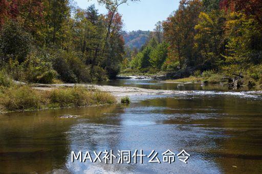 MAX补洞什么命令