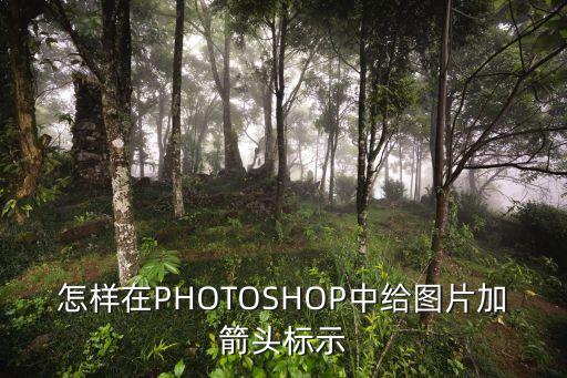 怎样在PHOTOSHOP中给图片加箭头标示