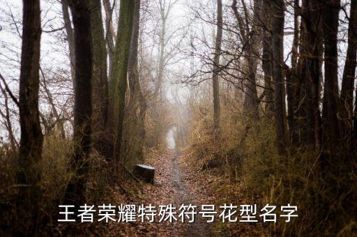 游戏名字符号大全花样符号怎么打，游戏名字中特殊符号怎么打