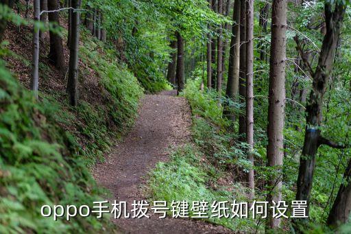 oppo手机拨号键壁纸如何设置