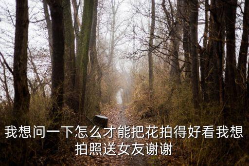 一只玫瑰怎么拍照，怎么能拍吗玫瑰