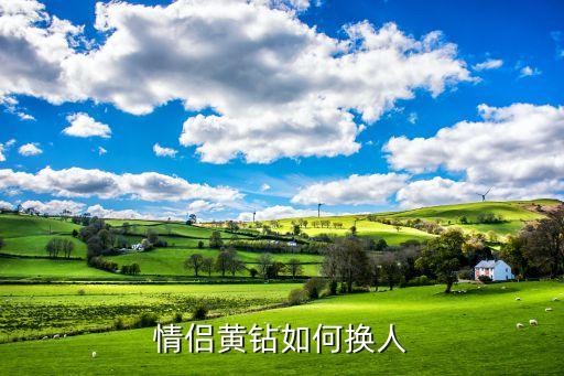 情侣黄钻如何换人
