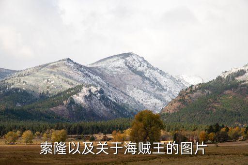 索隆以及关于海贼王的图片