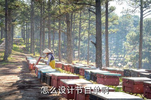 创意节目单怎么写，怎样制作文艺演出节目单