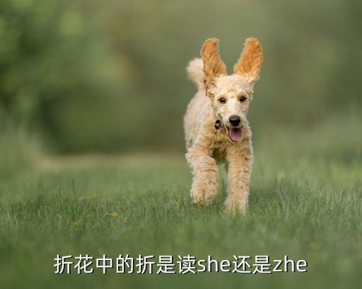 折花中的折是读she还是zhe