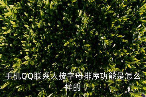 手机QQ联系人按字母排序功能是怎么样的