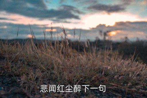 悲闻红尘醉下一句