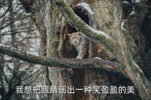 我想把眼睛画出一种笑盈盈的美