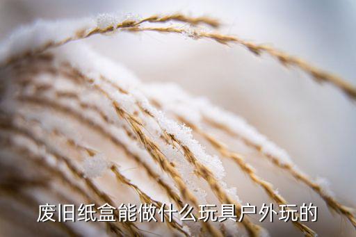废旧纸盒能做什么玩具户外玩的