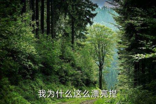 我怎么那么漂亮表情包，我怎么就那么漂亮 哈哈