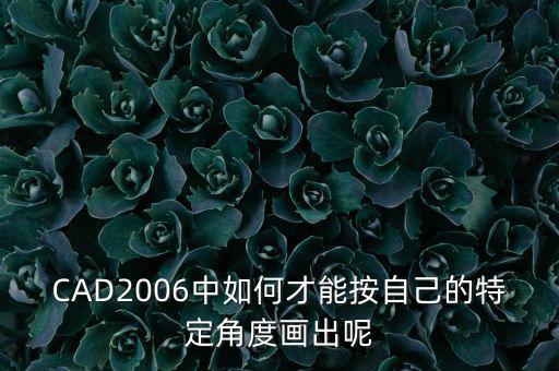 CAD2006中如何才能按自己的特定角度画出呢
