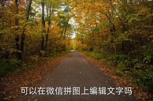 微信广告拼图文字怎么做，可以在微信拼图上编辑文字吗