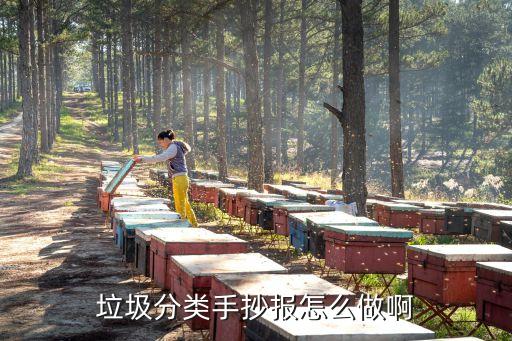 垃圾分类手抄报怎么做啊