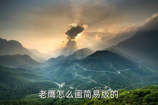 老鹰怎么画简易版的