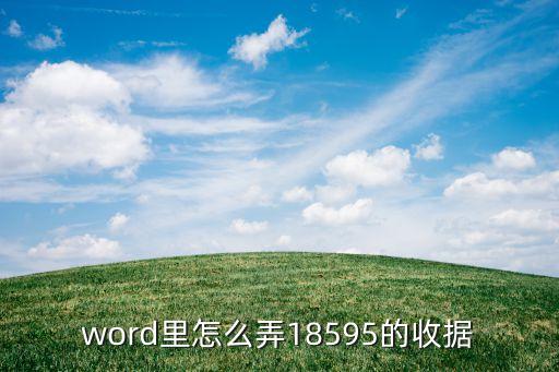 word里怎么弄18595的收据