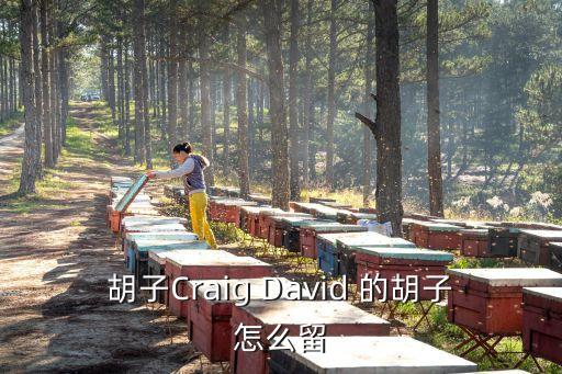 欧美胡子怎么留，胡子Craig David 的胡子怎么留