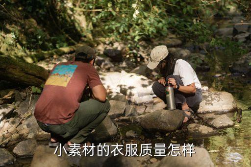 小素材童装质量怎么样，淘宝网上开小素材童装店怎么样有利润吗好不好做